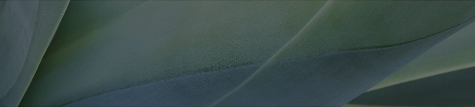 Footer Background Image